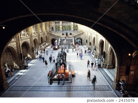 1995年博物館 2435076