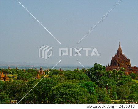 寶塔在平原（Bagan /緬甸）森林覆蓋 2435313