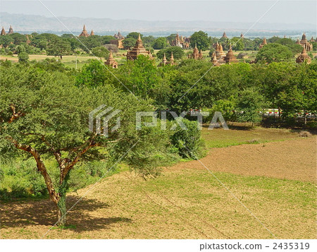 Pagoda forested in the plain (Bagan / Myanmar) 2435319