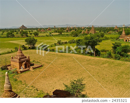 Pagoda forested in the plain (Bagan / Myanmar) Pagoda forested in the plain (Bagan / Myanmar) 2435321