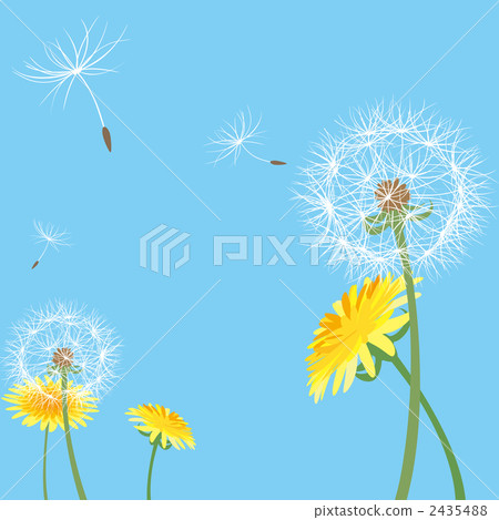 Dandelion Dandelion 2435488
