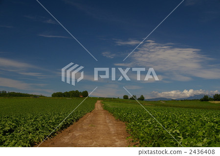 田園 田園風景 土路 2436408