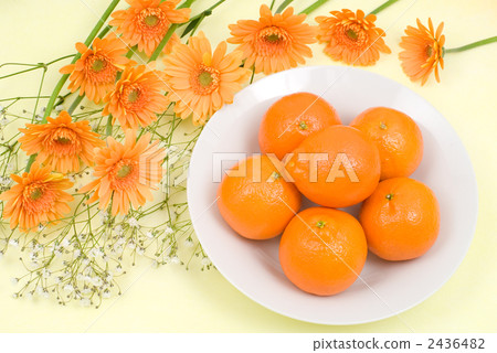 Gerbera flower and orange Gerbera flower and orange 2436482