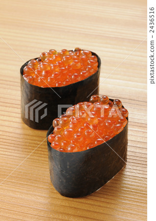 Ikura戰艦傷口 Ikura戰艦傷口 2436516