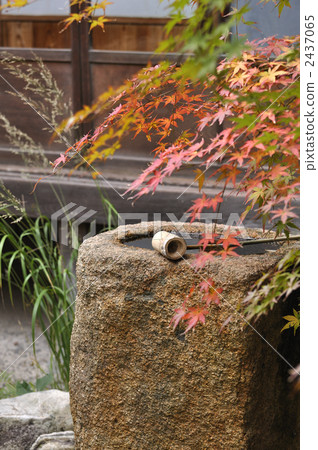 Japanese garden of autumn leaves Japanese garden of autumn leaves 2437065
