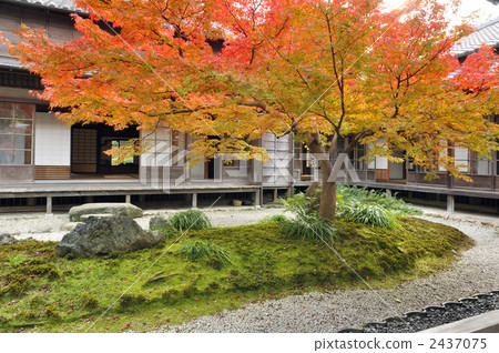 秋葉日本庭院 秋葉日本庭院 2437075