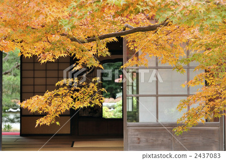 秋葉日本庭院 秋葉日本庭院 2437083