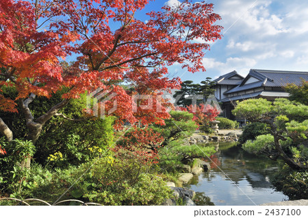 秋天的調布花園 2437100