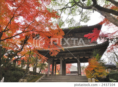 Kōsanji Temple in autumn 2437104