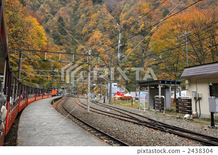 Kurobe gorge in autumn 2438304