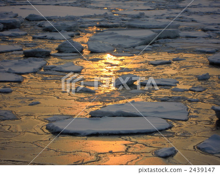 leaf ice of lotus, sea of okhotsk, drift ice 2439147
