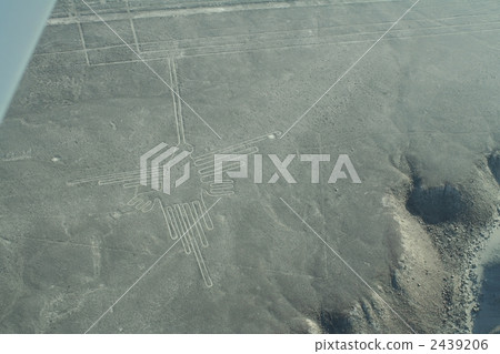 A ground picture of a hummingbird of Nazca Peru 2439206