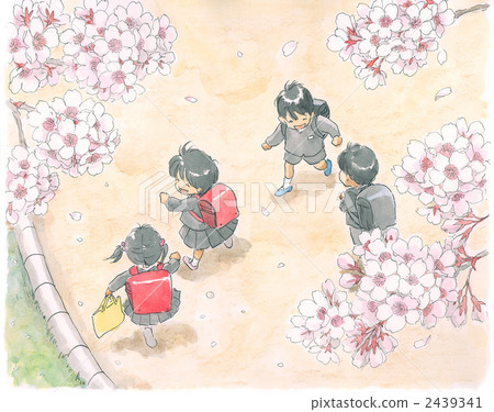 盛開的櫻花和小學生 盛開的櫻花和小學生 2439341