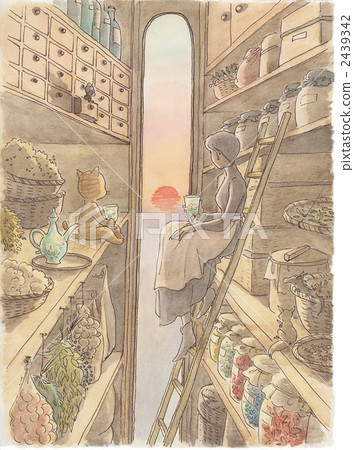 Cats and ladies and sunsets 2439342