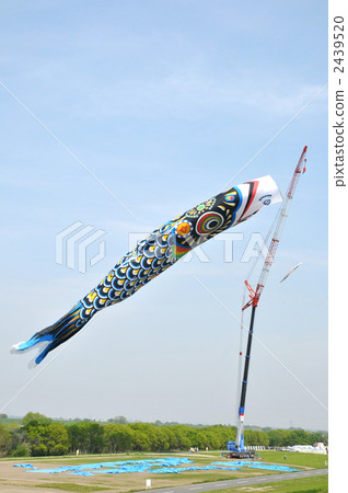 巨型鯉魚流光 2439520