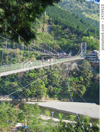奈良縣戶塚村的谷的吊橋 奈良縣戶塚村的谷的吊橋 2439928