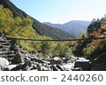 Suspension bridge 2440260