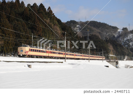 系列485 Raiden 系列485 Raiden 2440711