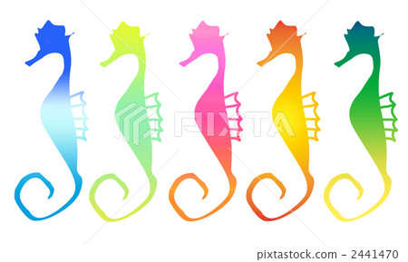 Seahorse 2441470