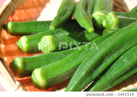 sieve, okra, summer vegetables 2441514
