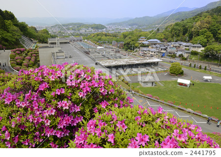 Azalea of the rise water purification plant 2441795