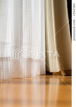 Daytime window side (sideways) Daytime window side (sideways) 2442564
