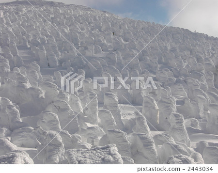 冰怪 雪怪 覆有霜的樹 2443034