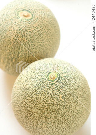 哈蜜瓜 水果 夏季水果 2443483