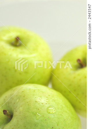 green apple, apple, apples 2443547