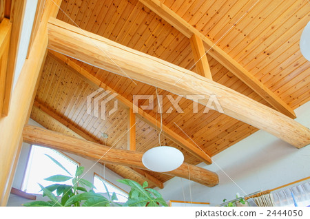 Ceiling slope Ceiling living logs and round columns Ceiling slope Ceiling living logs and round columns 2444050
