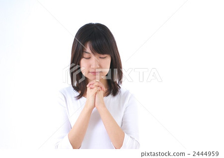 Wish -4 Wish -4 2444959