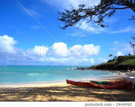 coast, seashore, seaside 2444992