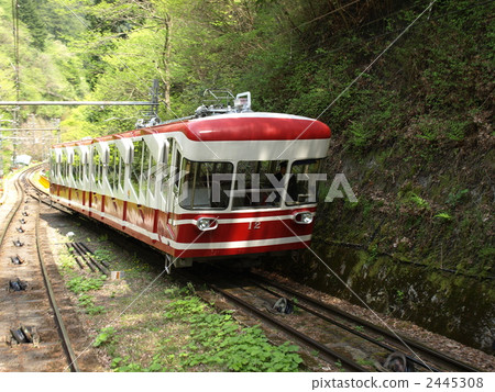 Koyasan cable coax 12 type vehicle 2445308