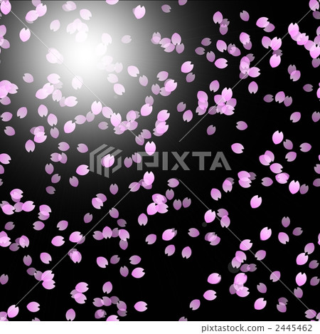 Cherry blossoms at night 2445462