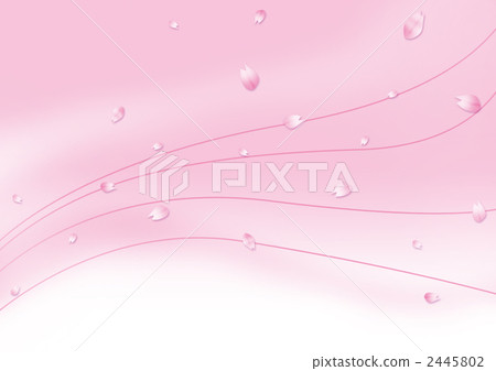 SakuraFubuki  2445802