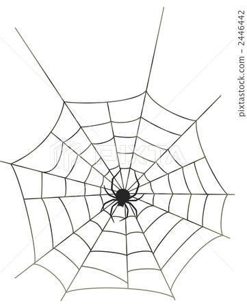 Spider web nest white back 2446442