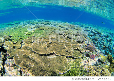 Sea of Taketomi 2446549