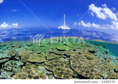 Sea of Taketomi 2446550