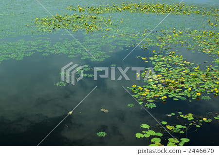 Waterside summer 2446670