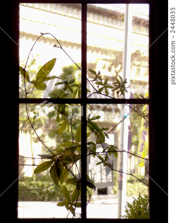 窗邊 2448035