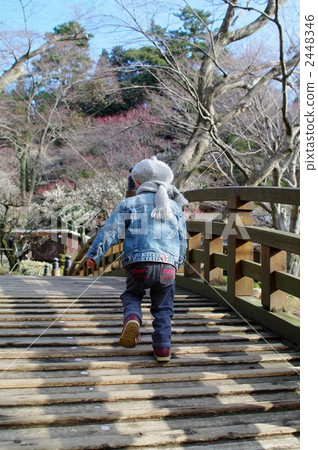 Child across the bridge Child across the bridge 2448346