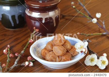 一個月亮 一個月亮 2448470