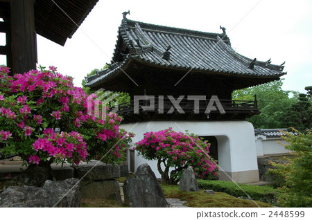 京都Kokusaiji的杜鵑花 2448599