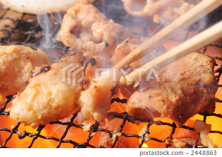 Grilled hormone Grilled hormone 2448863