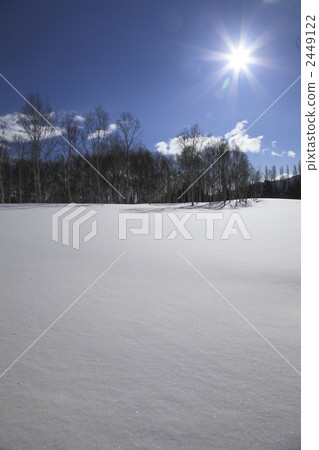 白雪皚皚 雪景 風景 2449122