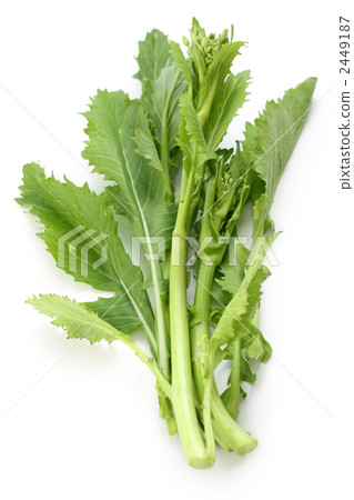 Cheima Dillapa, Italian vegetables 2449187