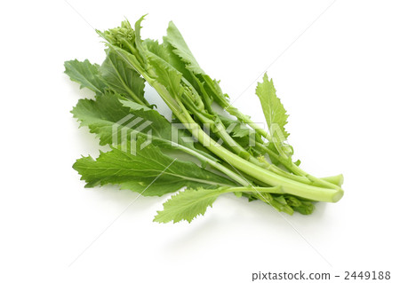 Cheima Dillapa, Italian vegetables 2449188