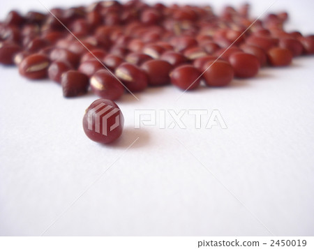 紅豆 紅豆 2450019