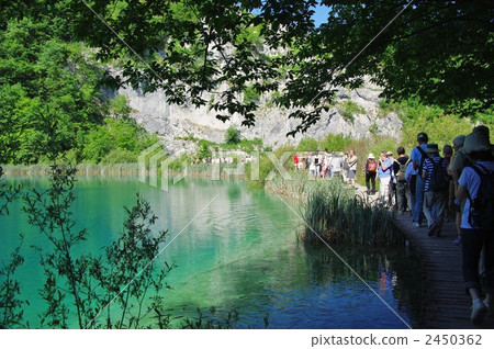 World heritage Plitvice Lakes, a group of trout was visible in a transparent lake 2450362