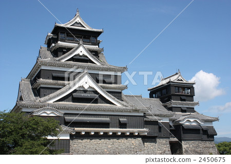 Kumamoto Castle  2450675